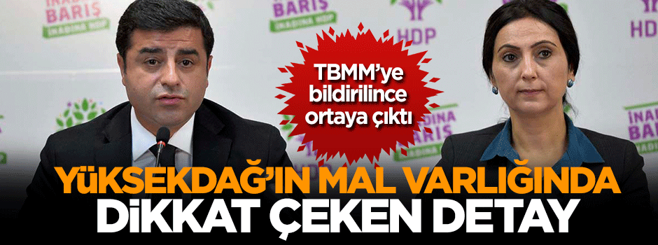 İşte Selahattin Demirtaş ve Figen Yüksekdağ'ın mal varlığı