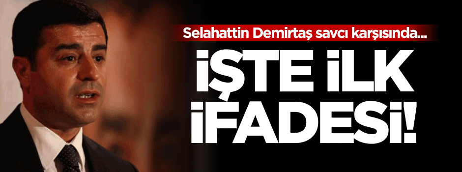 İşte Selahattin Demirtaş'ın ilk ifadesi