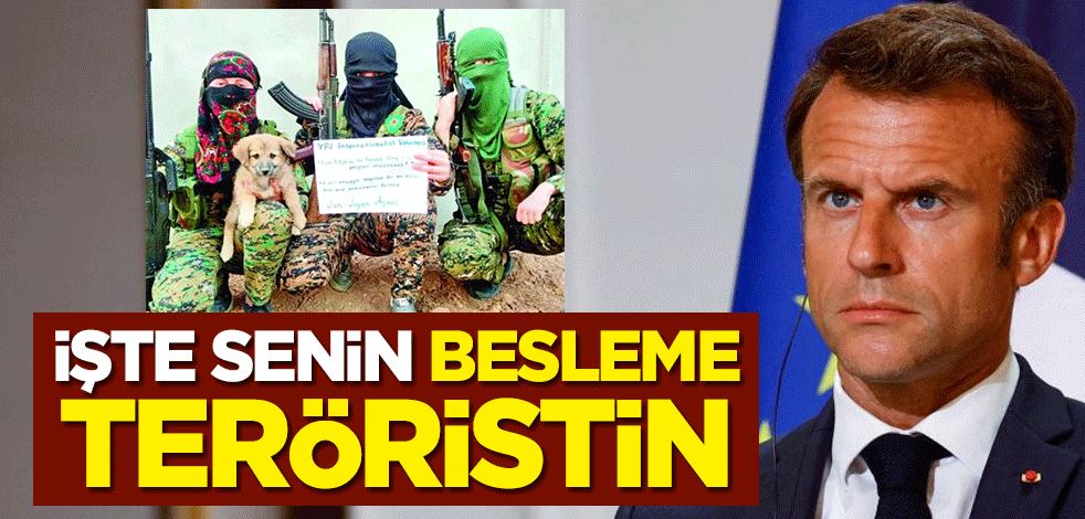 İşte senin besleme teröristin