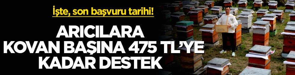 İşte, son başvuru tarihi! Arıcılara kovan başına 475 TL’ye kadar destek