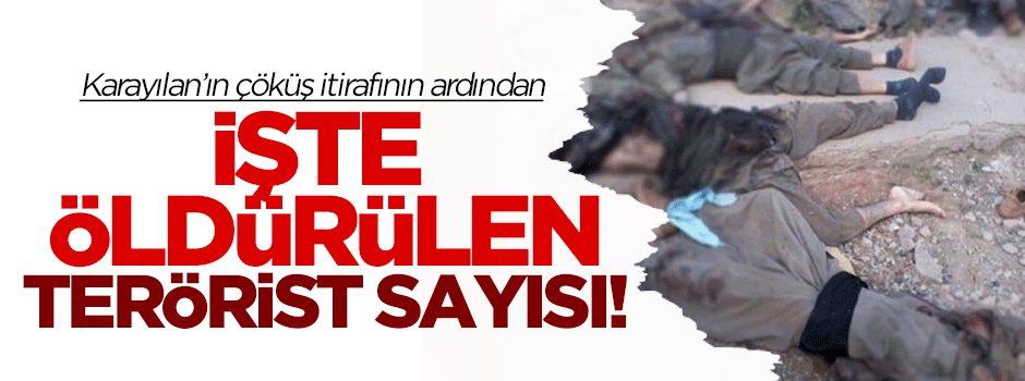 İşte son öldürülen terörist sayısı!