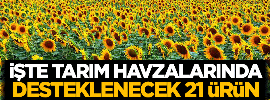 İşte tarım havzalarında desteklenecek 21 ürün