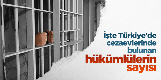 İşte Türkiye'de cezaevlerindeki hükümlülerin sayısı