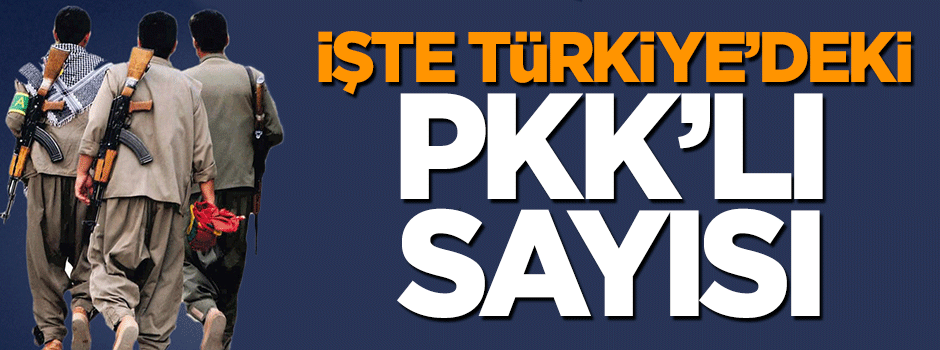 İşte Türkiye'deki PKK'lı sayısı