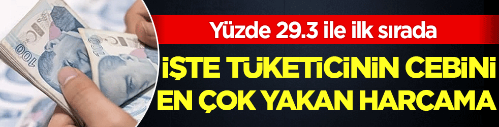 İşte Türkiye'nin cebini en çok yakan harcama! Yüzde 29.3 ile ilk sırada!