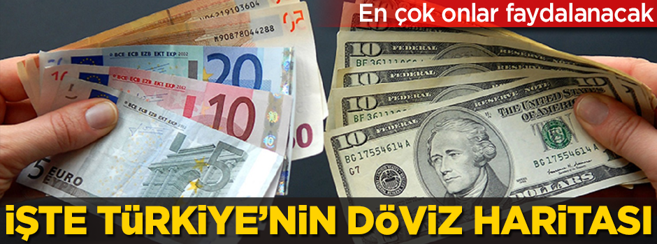 İşte Türkiye'nin döviz haritası! En çok onlar faydalanacak