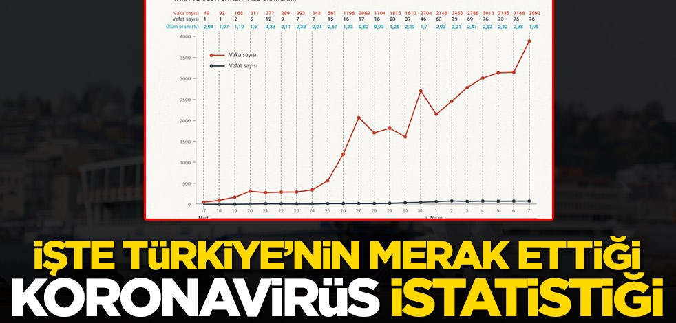İşte Türkiye'nin merak ettiği koronavirüs istatistiği!