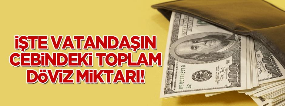İşte vatandaşın cebindeki toplam döviz miktarı