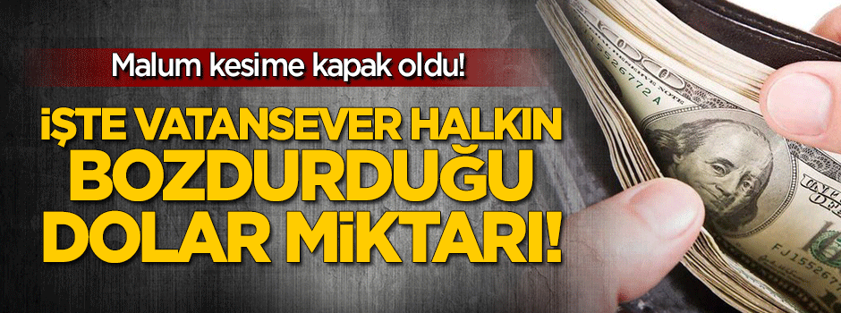 İşte vatansever halkın bozdurduğu dolar miktarı!