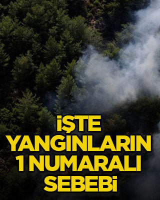 İşte yangınların 1 numaralı sebebi
