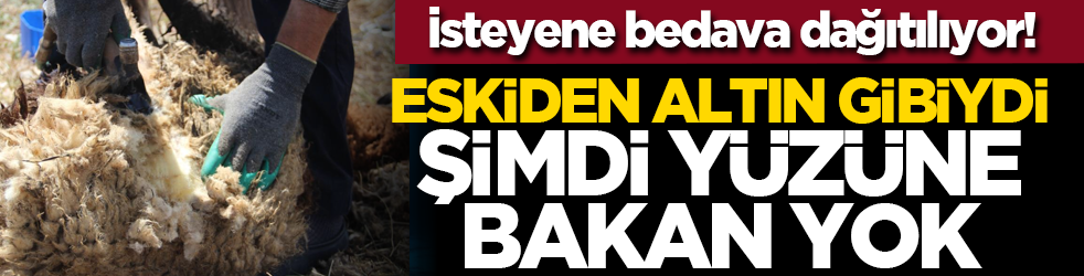 İsteyene bedava dağıtılıyor! Eskiden altın gibiydi şimdi y&uuml;z&uuml;ne bakan yok