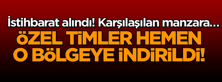 İstihbarat alındı… Özel timler hemen o bölgeye indirildi! Karşılaşılan manzara…