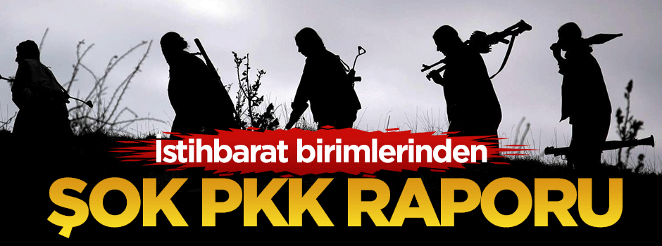 İstihbarat birimlerinden şok PKK raporu