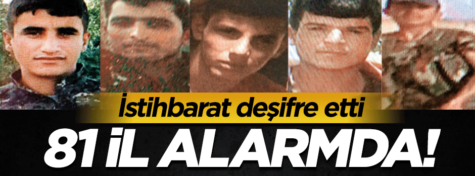 İstihbarat deşifte etti: PKK'nın 5 kişilik ölüm timi