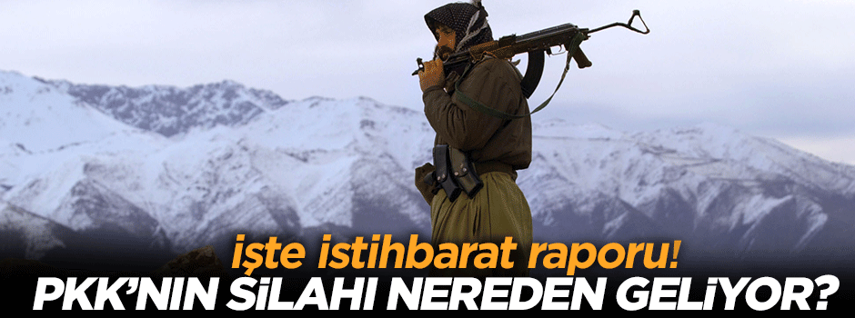 İstihbaratın PKK raporu!