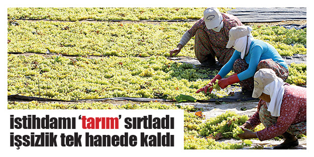 İstihdamı ‘tarım’ sırtladı işsizlik tek hanede kaldı