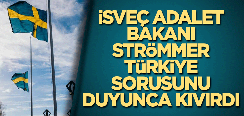 İsveç Adalet Bakanı Strömmer, Türkiye sorusunu duyunca kıvırdı