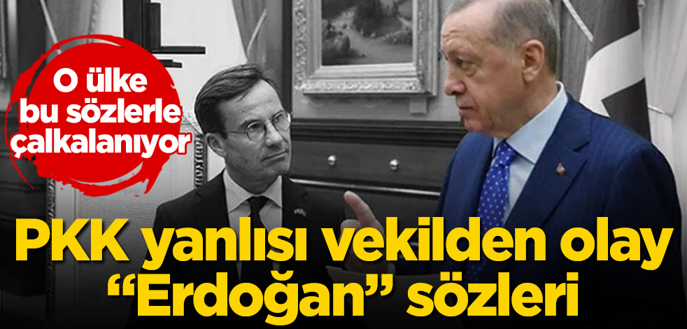 İsveç bu sözlerle çalkalanıyor! PKK yanlısı vekilden olay "Erdoğan" sözleri