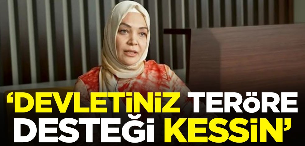 İsveç televizyonuna "Devletiniz teröre desteği kessin" röportajı