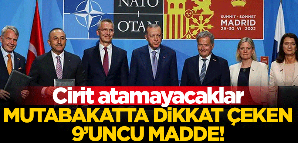 İsveç ve Finlandiya ile imzalanan mutabakatta dikkat çeken 9'uncu madde! Cirit atamayacaklar