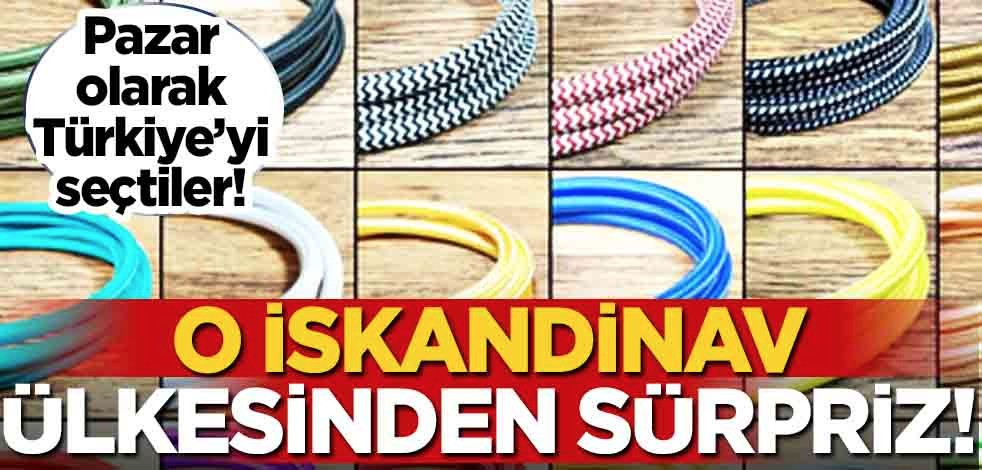 İsveçli şirket: elektrik malzemelerini Türk üreticilerden alacak! Satın alımı için Türkiye'ye ilan edildi
