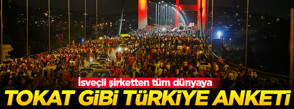 İsveçli şirketten çarpıcı Türkiye anketi