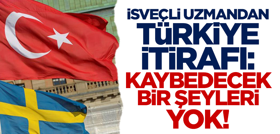 İsveçli uzmandan Türkiye itirafı: Kaybedecek bir şeyleri yok!