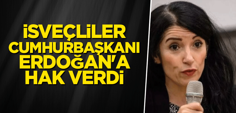 İsveçliler Cumhurbaşkanı Erdoğan'a hak verdi