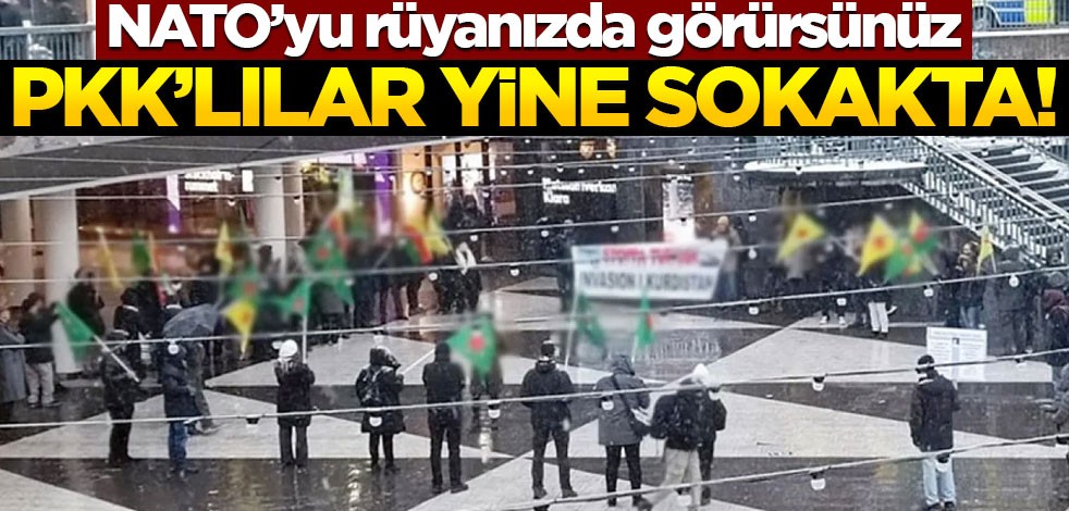 İsveç'te PKK'lılar sokağa indi