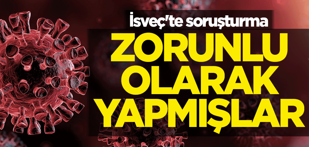 İsveç'te soruşturma! Zorunlu olarak yapmışlar
