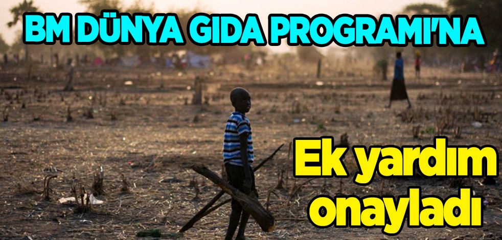 İsviçre'den büyük hamle! BM Dünya Gıda Programı'na 14,5 milyon (295 milyon TL) frank değerinde ek destek