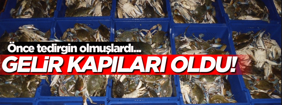 İsyan ettirmişti, şimdi gelir kapıları oldu!