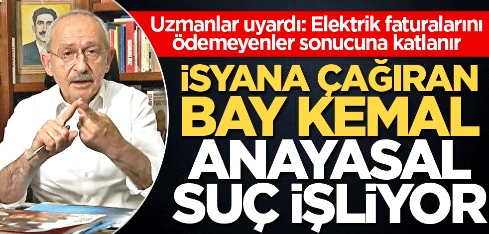 İsyana çağıran Bay Kemal anayasal suç işliyor