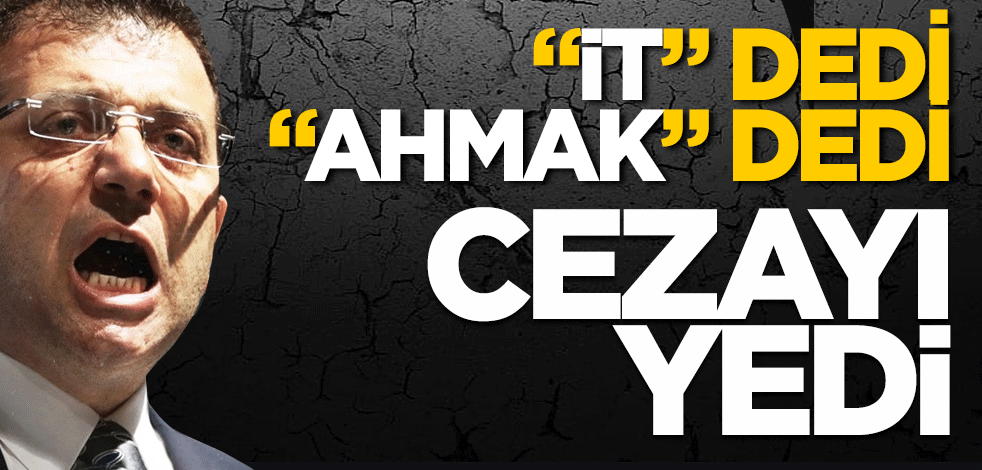 "it" dedi "ahmak" dedi cezayı yedi