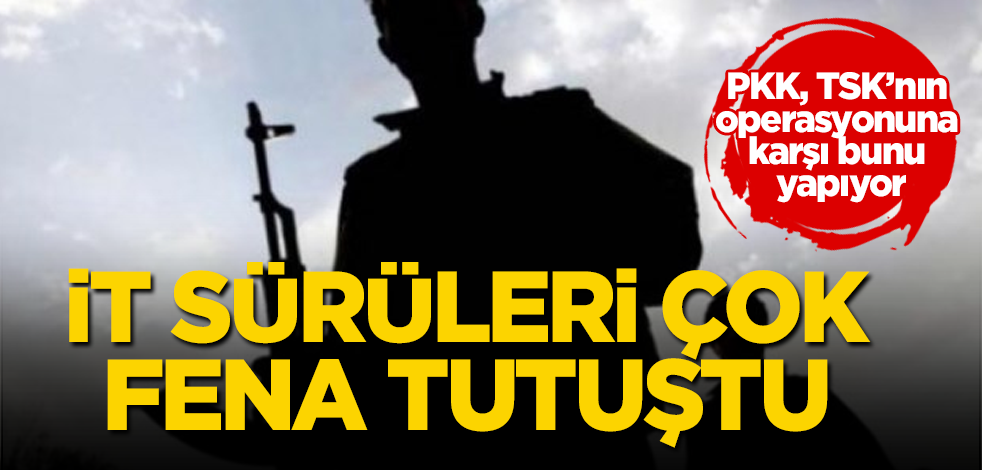 İt sürüleri çok fena tutuştu! PKK, TSK'nın operasyonuna karşı bunu yapıyor