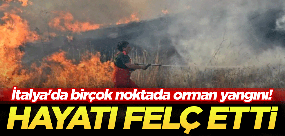 İtalya'da birçok noktada orman yangını! Hayatı felç etti