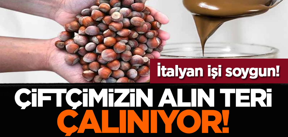 İtalyan işi soygun! Çiftçimizin alın teri çalınıyor
