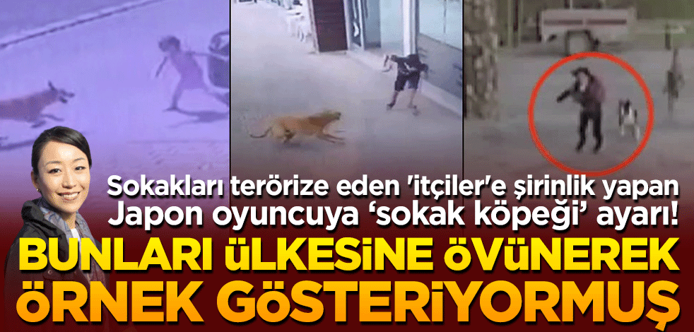 'İtçiler'e şirinlik yapan Japon oyuncuya "sokak köpeği" ayarı! Bunları ülkesine övünerek örnek gösteriyormuş