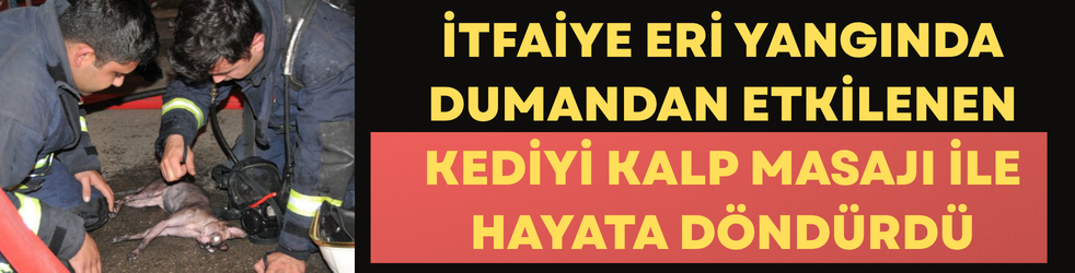 İtfaiye eri yangında dumandan etkilenen kediyi kalp masajı ile hayata döndürdü