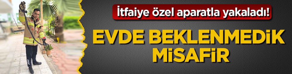 İtfaiye özel aparatla yakaladı! Evde beklenmedik misafir