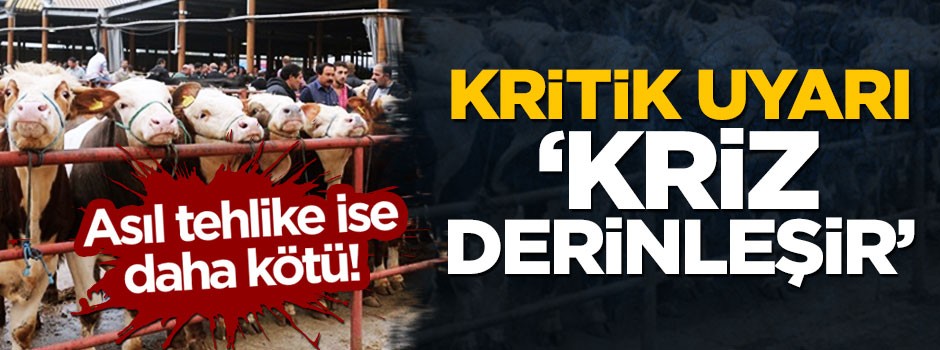 'İthal et sorunu daha da derinleştirecek'