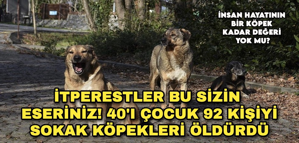 İtperestler bu sizin eseriniz! Son 21 ayda 40’ı çocuk 92 kişiyi sokak köpekleri öldürdü