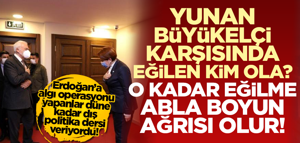 İYİ Parti Genel Başkanı Meral Akşener, Yunan Büyükelçi karşısında eğildi!