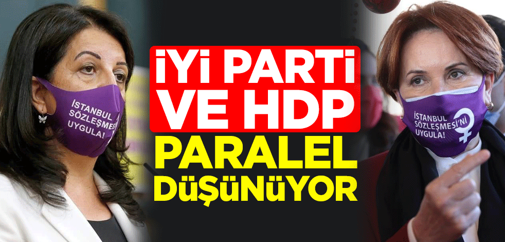 İYİ Parti ve HDP paralel düşünüyor