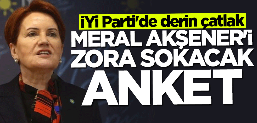 İYİ Parti'de derin çatlak! Son anket Meral Akşener'i zora sokacak