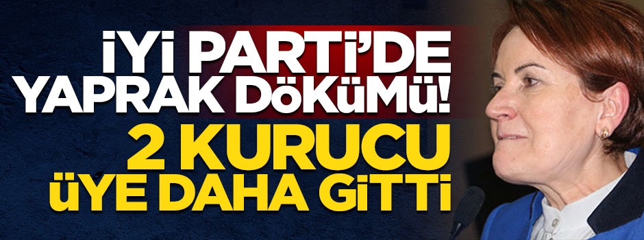 İYİ Parti'de 'Milliyetçilik' depremi! İki kurucu isim istifa etti