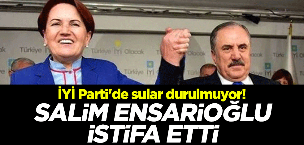 İYİ Parti'de sular durulmuyor! İstanbul Milletvekili Salim Ensarioğlu istifa etti