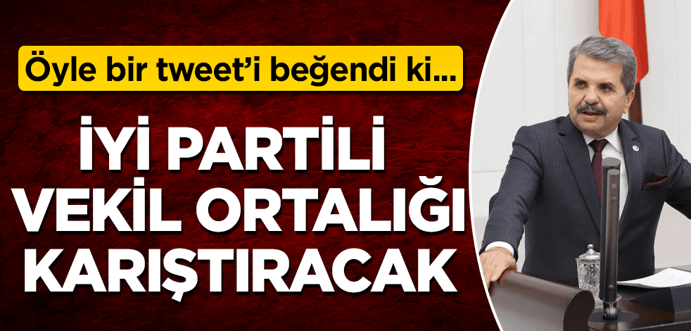 İyi Partili vekilin bu beğenisi ortalığı karıştıracak