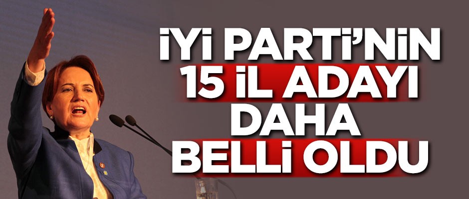 İYİ Parti'nin 15 adayı daha belli oldu