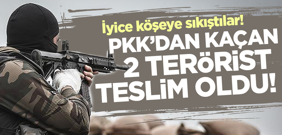 İyice köşeye sıkıştılar! PKK kamplarından kaçan 2 terörist teslim oldu
